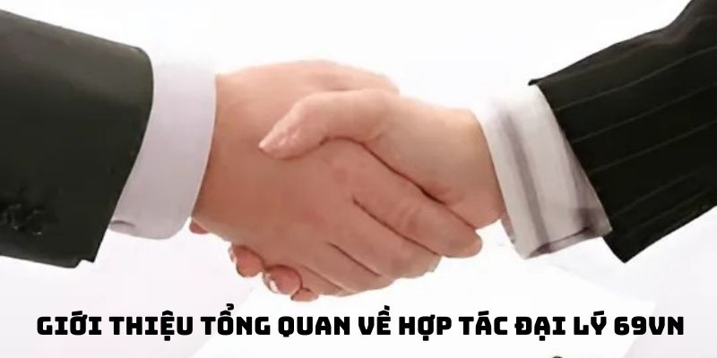 Giới thiệu sơ qua về hợp tác đại lý 69Vn