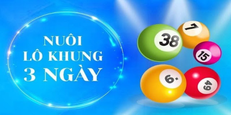 Các kiểu đề nuôi khung 3 ngày