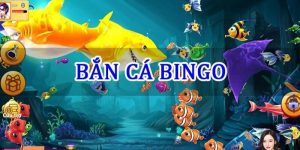 bắn cá bingo